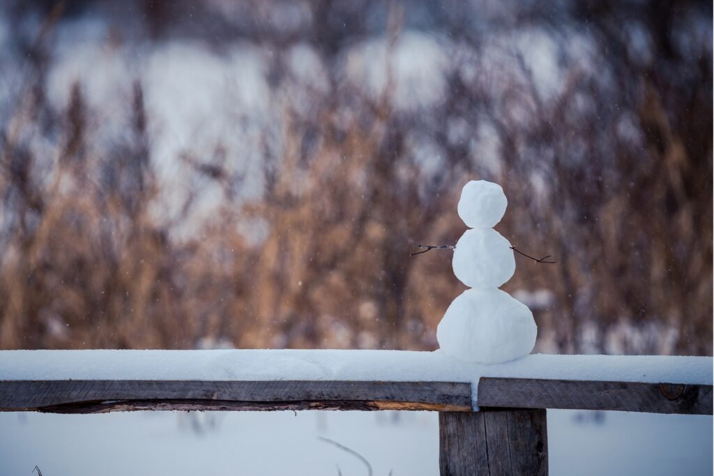 雪の被害は保険で補償される?